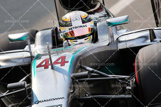 F1 2016 Lewis Hamilton - Mercedes - 20160035