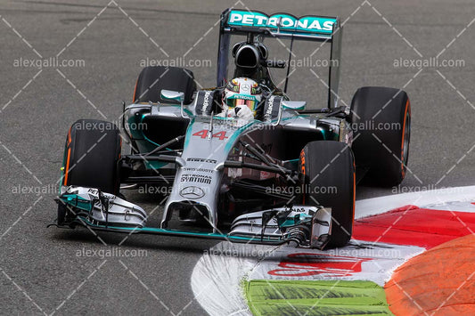 F1 2014 Lewis Hamilton - Mercedes - 20140054