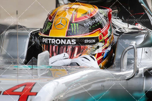 F1 2017 Lewis Hamilton - Mercedes - 20170028