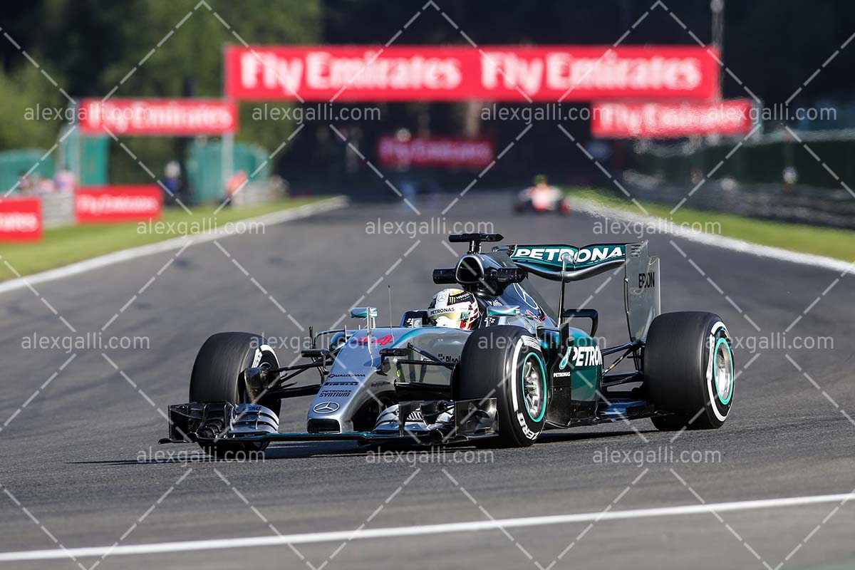 F1 2015 Lewis Hamilton - Mercedes - 20150051