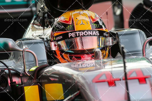 F1 2017 Lewis Hamilton - Mercedes - 20170029