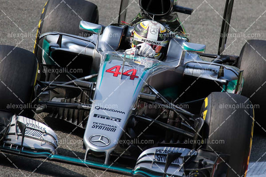 F1 2016 Lewis Hamilton - Mercedes - 20160039