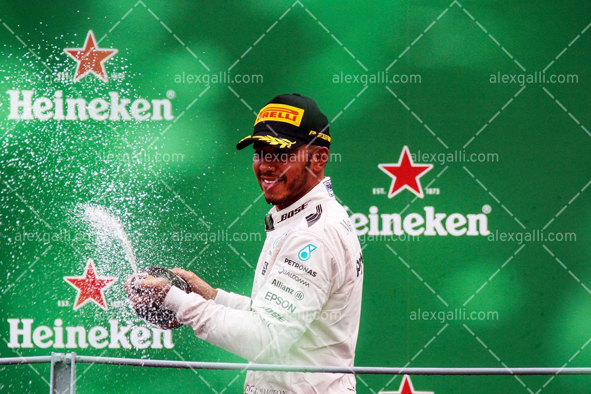 F1 2016 Lewis Hamilton - Mercedes - 20160025