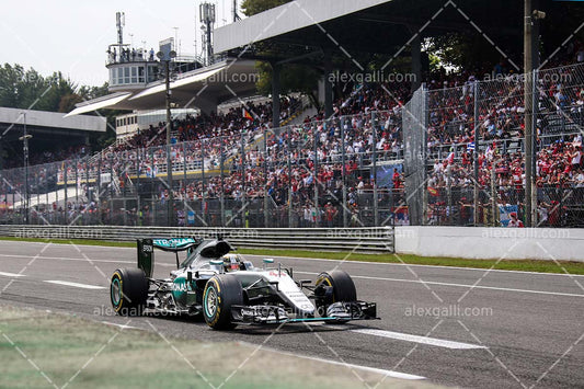 F1 2016 Lewis Hamilton - Mercedes - 20160029