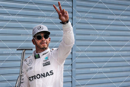 F1 2016 Lewis Hamilton - Mercedes - 20160030