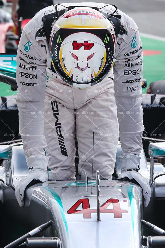 F1 2016 Lewis Hamilton - Mercedes - 20160032