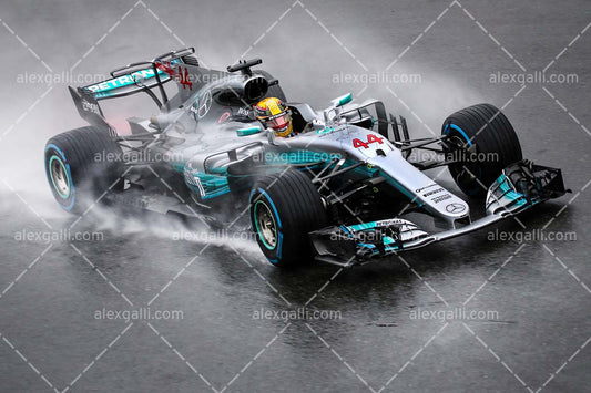 F1 2017 Lewis Hamilton - Mercedes - 20170025