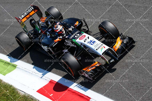 F1 2014 Nico Hulkenberg - Force India - 20140055