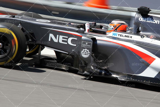 F1 2013 Nico Hulkenberg - Sauber - 20130023