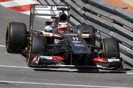 F1 2013 Nico Hulkenberg - Sauber - 20130024