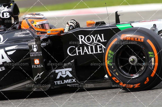 F1 2014 Nico Hulkenberg - Force India - 20140057