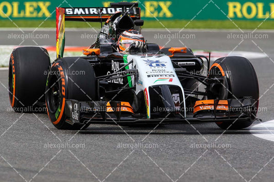 F1 2014 Nico Hulkenberg - Force India - 20140058