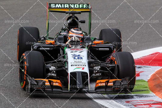 F1 2014 Nico Hulkenberg - Force India - 20140059