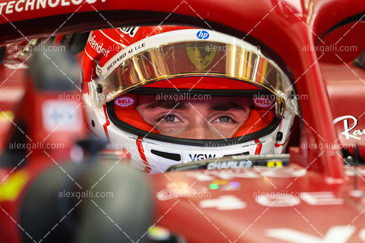 F1 2025 Charles Leclerc - Ferrari - 202500131