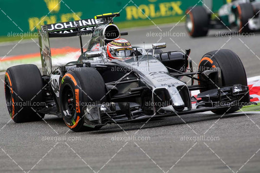 F1 2014 Kevin Magnussen - McLaren - 20140072