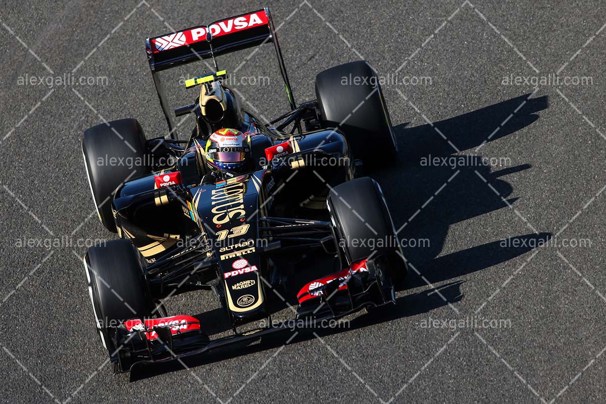 F1 2015 Pastor Maldonado - Lotus - 20150077
