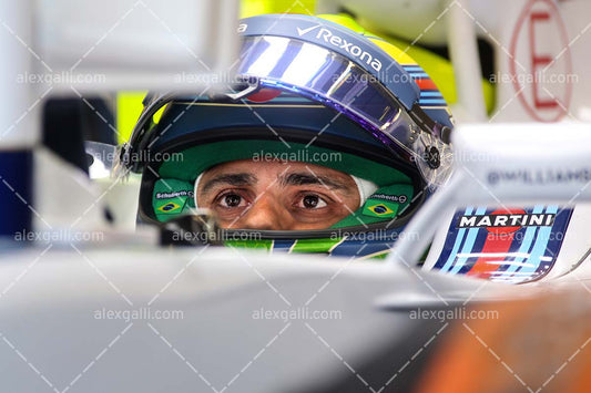 F1 2015 Felipe Massa - Williams - 20150089