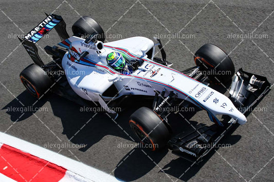 F1 2014 Felipe Massa - Williams - 20140078