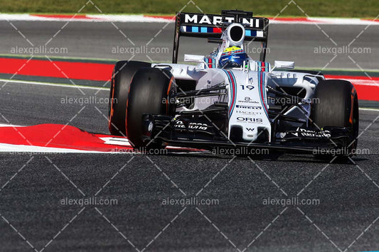 F1 2015 Felipe Massa - Williams - 20150080