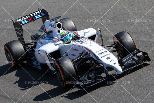 F1 2014 Felipe Massa - Williams - 20140079
