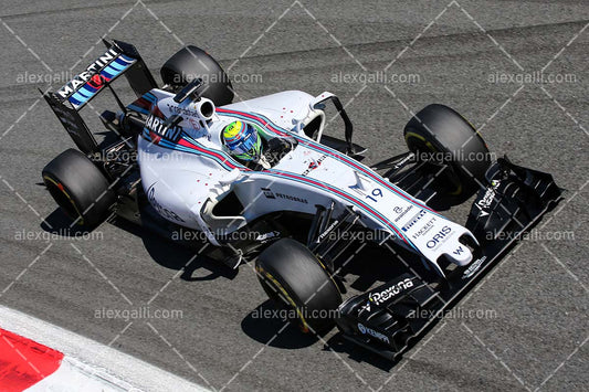 F1 2015 Felipe Massa - Williams - 20150082