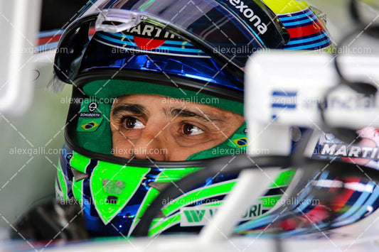 F1 2016 Felipe Massa - Williams - 20160055