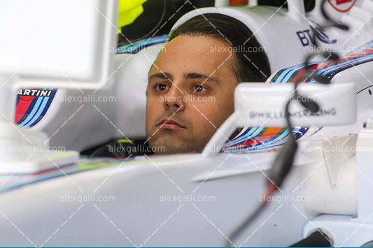 F1 2015 Felipe Massa - Williams - 20150083
