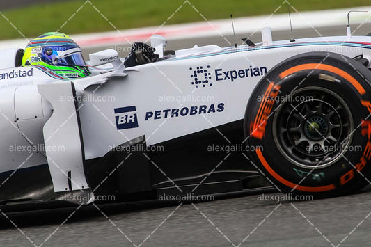 F1 2014 Felipe Massa - Williams - 20140081