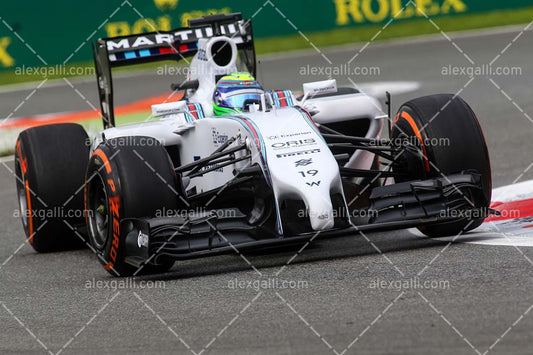 F1 2014 Felipe Massa - Williams - 20140082