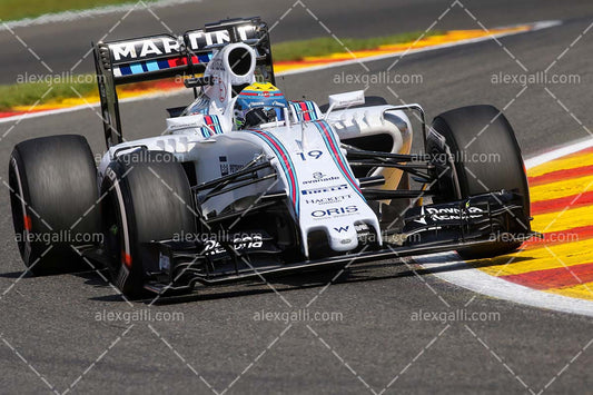F1 2015 Felipe Massa - Williams - 20150086
