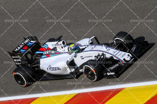 F1 2015 Felipe Massa - Williams - 20150087