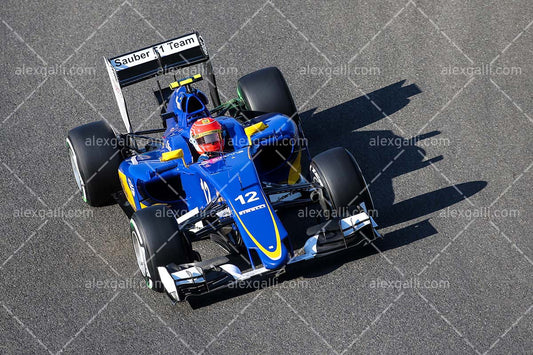 F1 2015 Felipe Nasr - Sauber - 20150093
