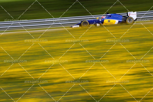 F1 2015 Felipe Nasr - Sauber - 20150094