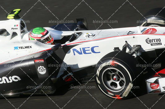 F1 2011 Sergio Perez - Sauber - 20110045