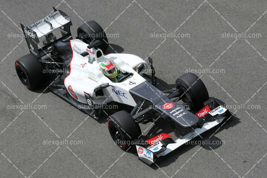F1 2012 Sergio Perez - Sauber - 20120051