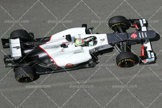 F1 2012 Sergio Perez - Sauber - 20120052