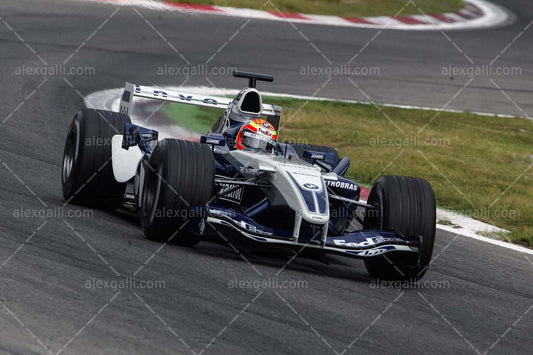 F1 2004 Antonio Pizzonia - Williams FW26 - 20040087