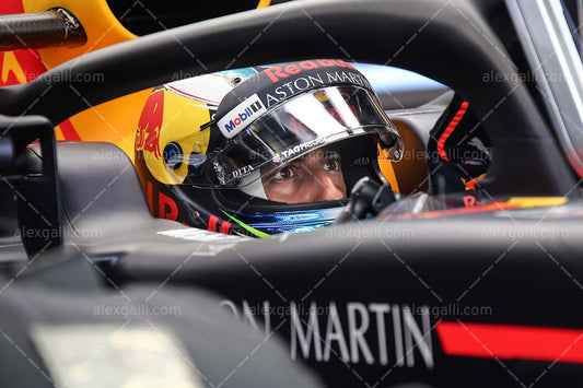 2018 Daniel Ricciardo - Red Bull - 20180109
