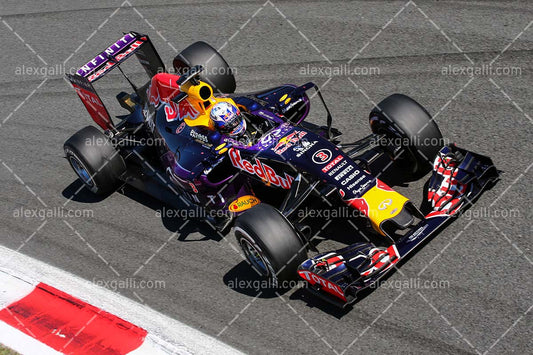 F1 2015 Daniel Ricciardo - Red Bull - 20150126
