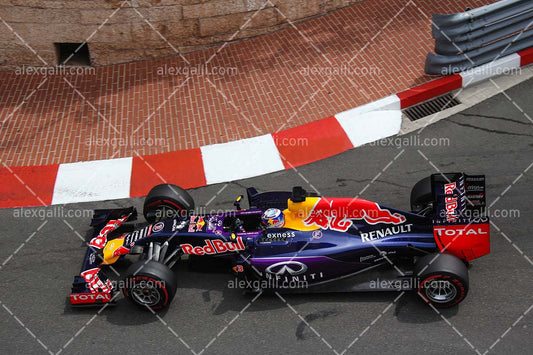 F1 2015 Daniel Ricciardo - Red Bull - 20150118
