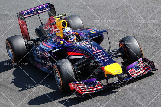 F1 2014 Daniel Ricciardo - Red Bull - 20140097