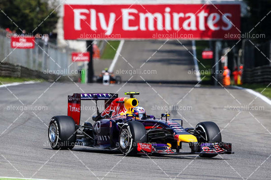 F1 2014 Daniel Ricciardo - Red Bull - 20140098