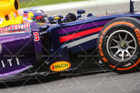 F1 2014 Daniel Ricciardo - Red Bull - 20140101