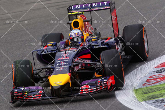 F1 2014 Daniel Ricciardo - Red Bull - 20140102