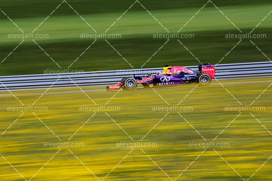 F1 2015 Daniel Ricciardo - Red Bull - 20150123