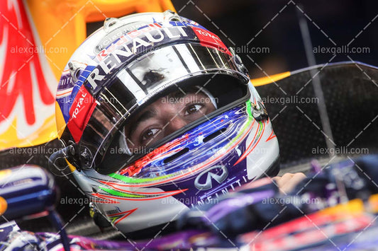 F1 2015 Daniel Ricciardo - Red Bull - 20150124
