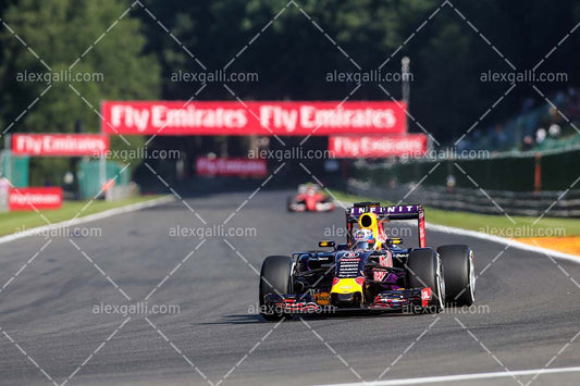 F1 2015 Daniel Ricciardo - Red Bull - 20150125