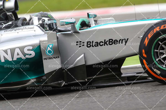 F1 2014 Nico Rosberg - Mercedes - 20140106