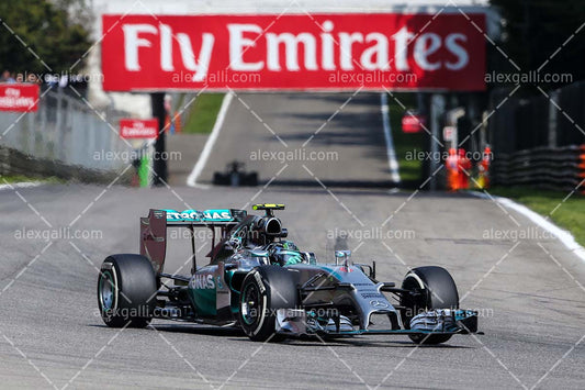 F1 2014 Nico Rosberg - Mercedes - 20140108