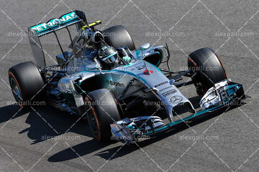 F1 2014 Nico Rosberg - Mercedes - 20140109